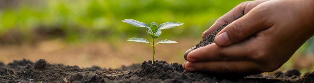 Leadership Manager Ressources Humaines Formation Belgique Faire Grandir Alias Consult